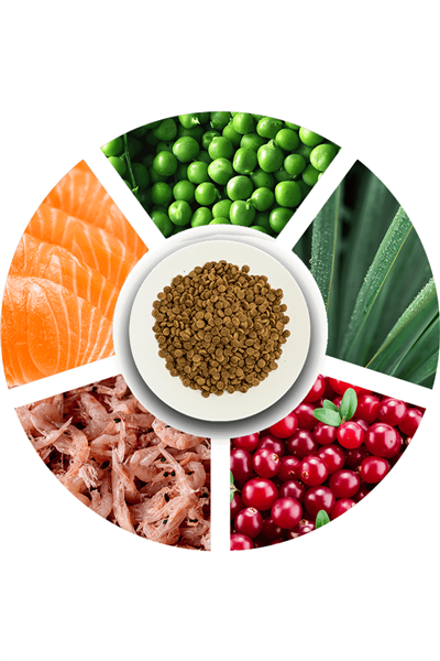 ProChoice Pro 33 Hypoallergenic Sterilised Somonlu Kısırlaştırılmış Kedi Maması 2 Kg