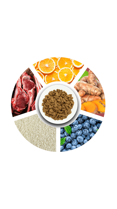 ProChoice Proderma Kuzu Etli Yetişkin Köpek Maması 18 kg