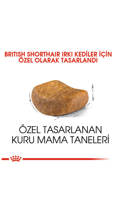 Royal Canin British Shorthair Yetişkin Kedi Maması 4 kg