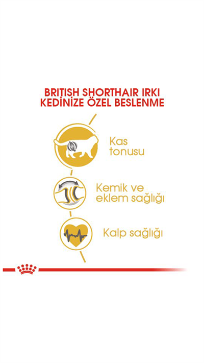 Royal Canin British Shorthair Yetişkin Kedi Maması 2 kg