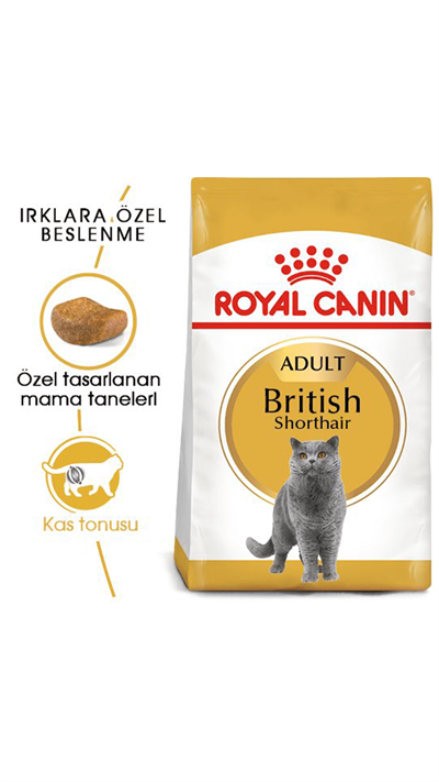 Royal Canin British Shorthair Yetişkin Kedi Maması 4 kg