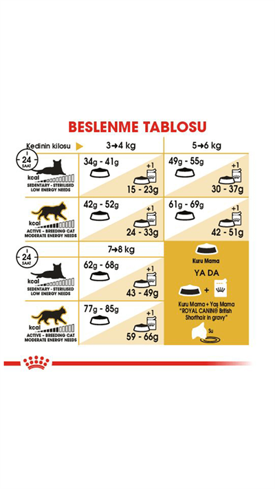 Royal Canin British Shorthair Yetişkin Kedi Maması 2 kg