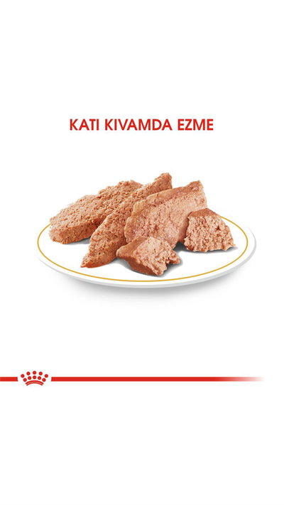 Royal Canin Chihuahua Yetişkin Köpek Konservesi 85gr