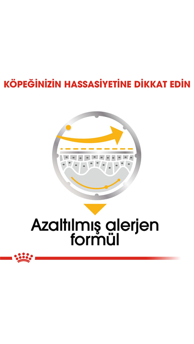 Royal Canin Dermacomfort Yetişkin Köpek Konservesi 85gr