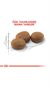 Royal Canin Sterilised 37 Kısırlaştırılmış Kedi Maması 10 Kg