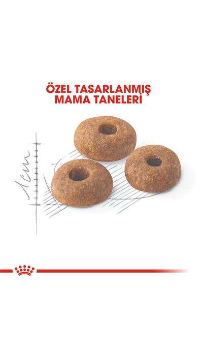 Royal Canin Fit 32 Yetişkin Kedi Maması 15 kg