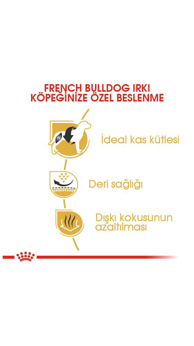 Royal Canin French Bulldog Yetişkin Köpek Maması 3 kg