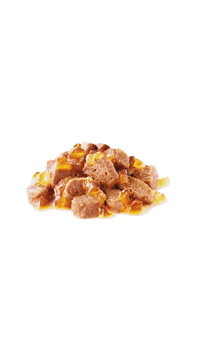 Royal Canin Intense Beauty Jelly Kedi Konservesi 85Gr