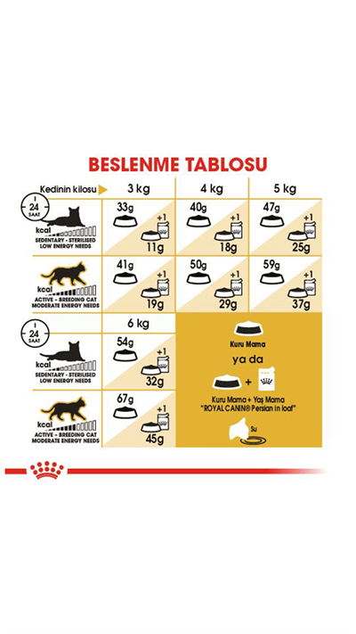 Royal Canin İran Kedileri İçin Yetişkin Kedi Maması 2 Kg
