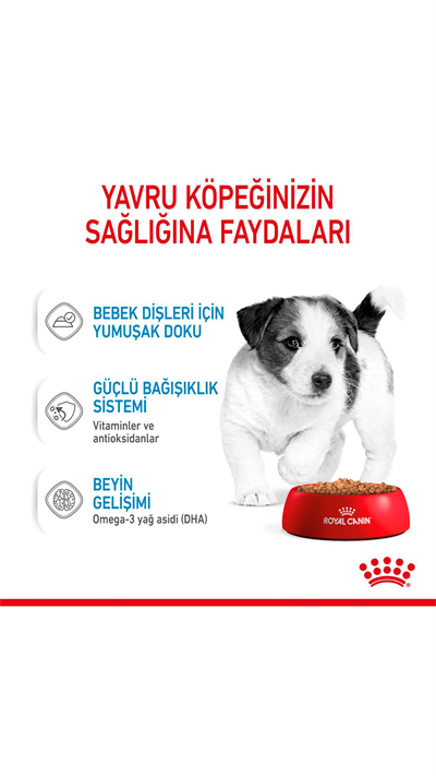Royal Canin Küçük Irk Yavru Köpek Konservesi 85gr
