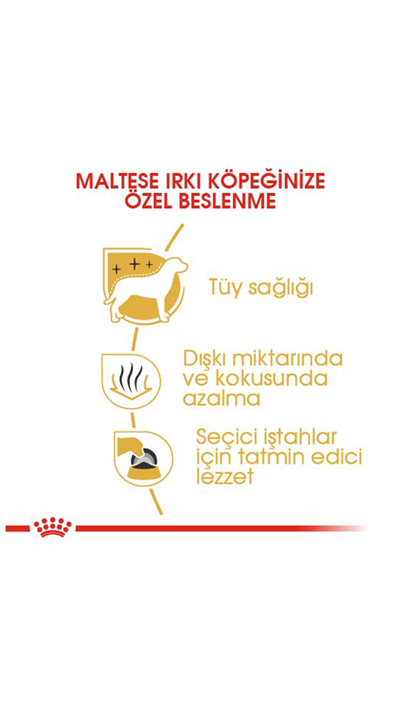 Royal Canin Maltese Terrier Yetişkin Köpek Maması 1,5 kg