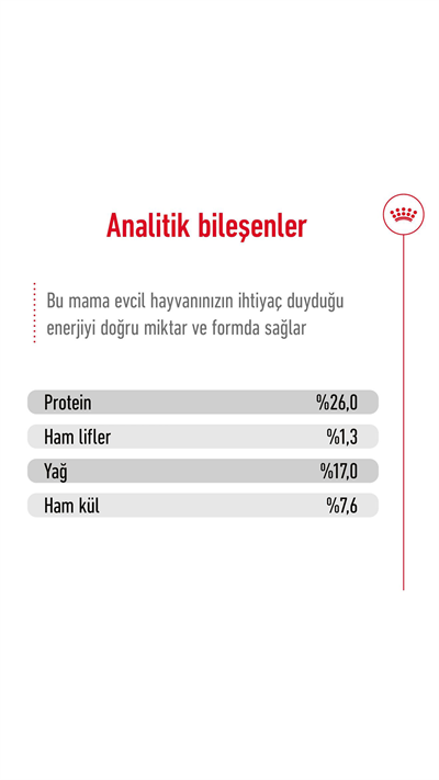 Royal Canin Maxi Büyük Irk Yetişkin Köpek Maması 15 kg