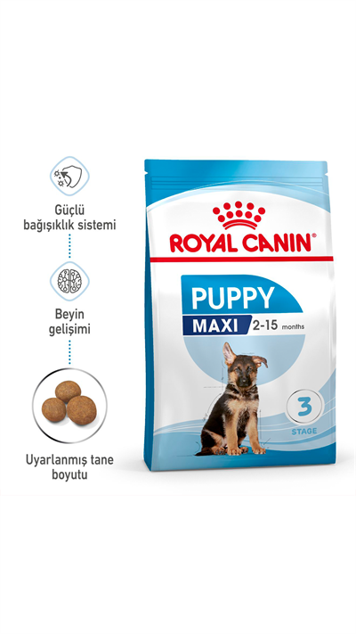 Royal Canin Maxi Puppy Büyük Irk Yavru Köpek Maması 15 kg