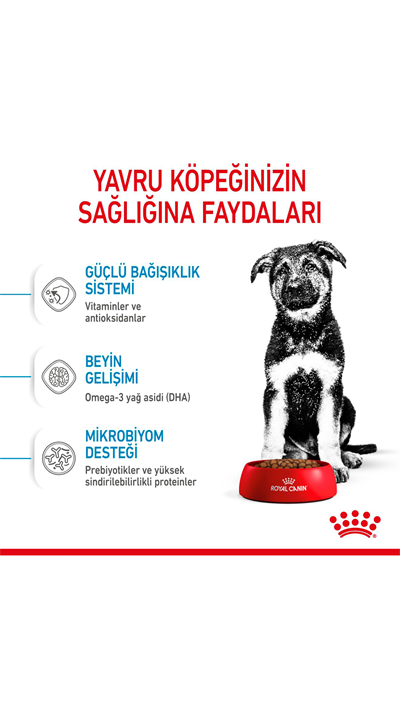 Royal Canin Maxi Puppy Büyük Irk Yavru Köpek Maması 15 kg