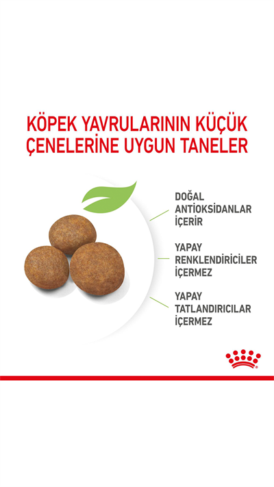 Royal Canin Maxi Puppy Büyük Irk Yavru Köpek Maması 15 kg