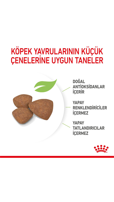 Royal Canin Mini Junior Küçük Irk Yavru Köpek Maması 4 kg