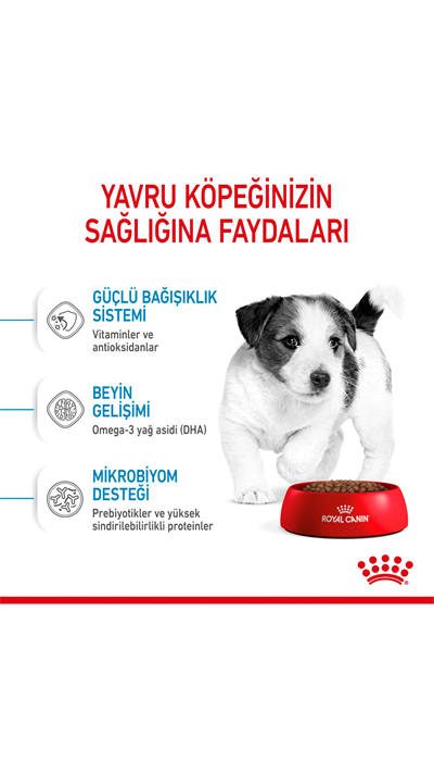 Royal Canin Mini Junior Küçük Irk Yavru Köpek Maması 4 kg