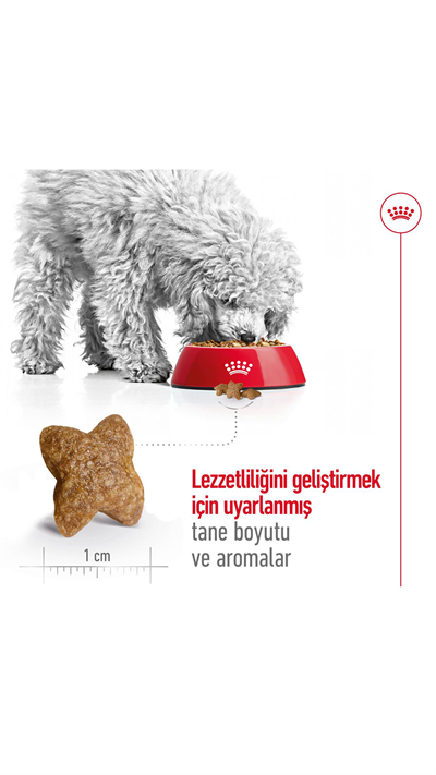 Royal Canin Mini Küçük Irk Yetişkin Köpek Maması 4 kg