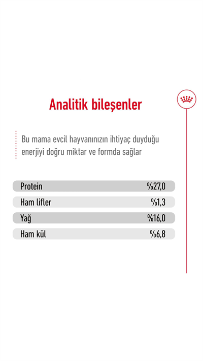 Royal Canin Mini Küçük Irk Yetişkin Köpek Maması 2 kg