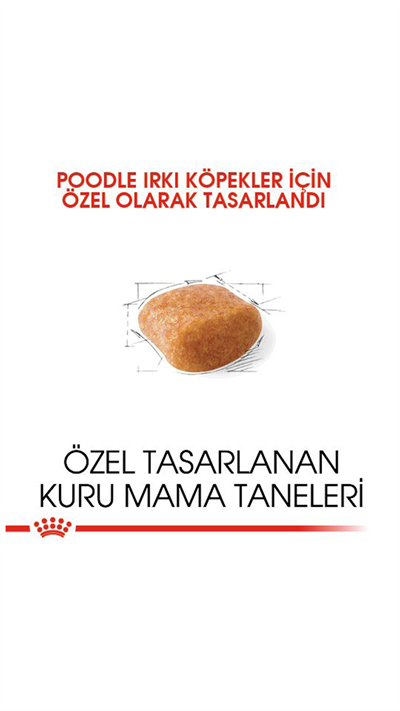 Royal Canin Poodle Yetişkin Köpek Maması 3 Kg