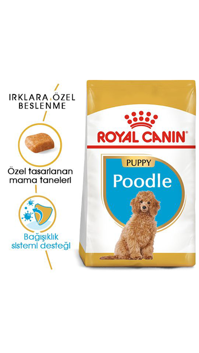 Royal Canin Puppy Poodle Caniche Yavru Köpek Maması 3kg