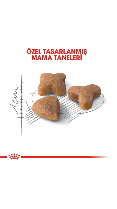 Royal Canin Sensible 33 Hassas Sindirim Sistemli Kediler için Yetişkin Kedi Maması 15 kg