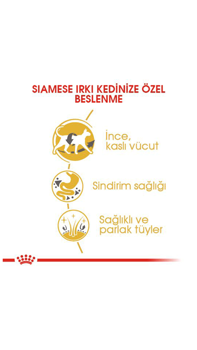Royal Canin Siamese 38 Yetişkin Kedi Maması 2kg