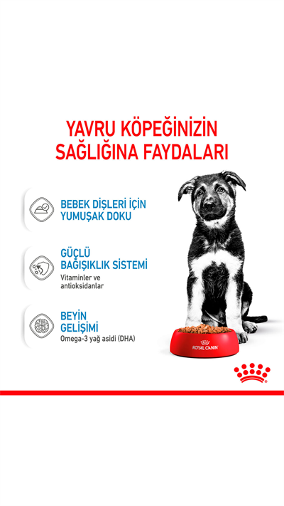 Royal Canin Sos İçinde Büyük Irk Yavru Köpek Konservesi 140gr