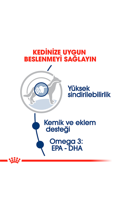 Royal Canin Sos İçinde Büyük Irk Yetişkin Köpek Konservesi 140gr