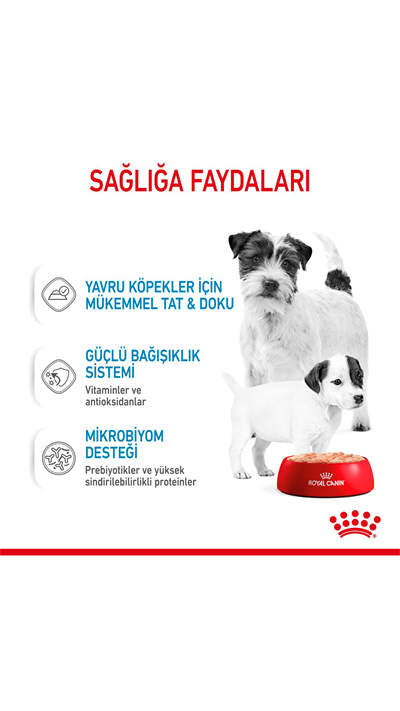 Royal Canin Starter Anne ve Yavru Köpek Konservesi 195 Gr