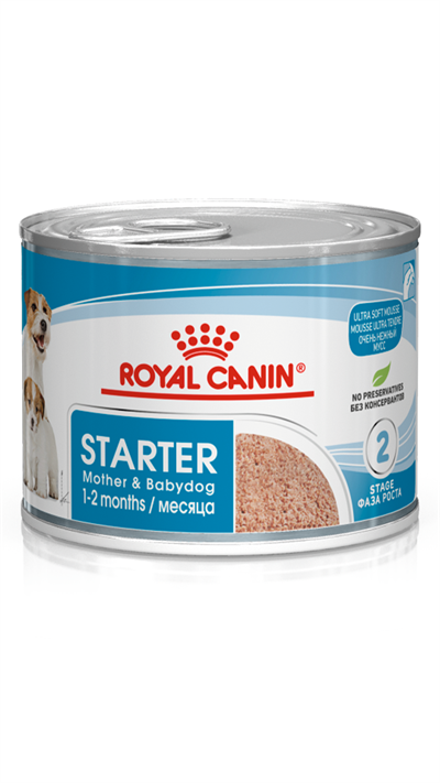 Royal Canin Starter Anne ve Yavru Köpek Konservesi 195 Gr