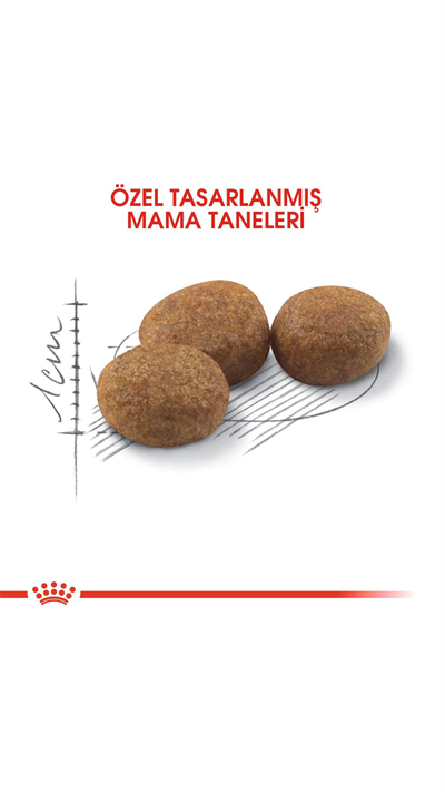 Royal Canin Sterilised 37 Kısırlaştırılmış Kedi Maması 10 Kg