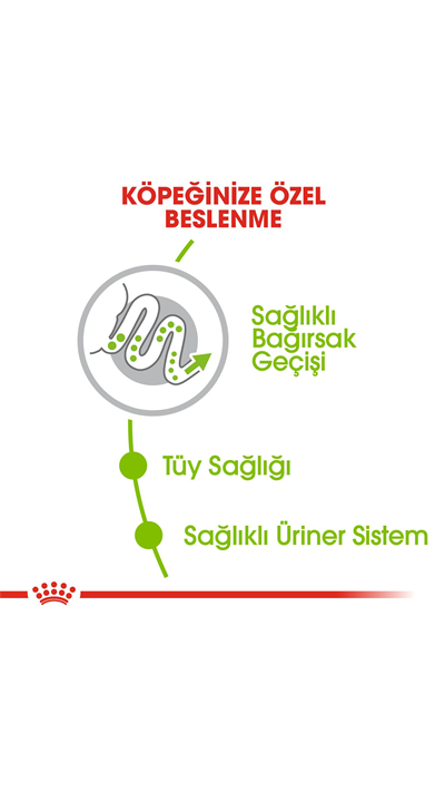 Royal Canin X-Small Küçük Irk Yetişkin Köpek Maması 1,5 Kg