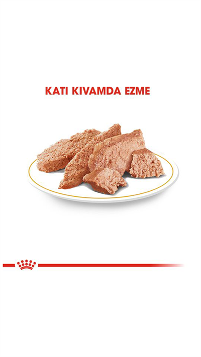 Royal Canin Yorkshire Terrier Yetişkin Köpek Konservesi 85gr