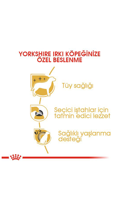 Royal Canin Yorkshire Terrier Yetişkin Köpek Maması 1,5 kg