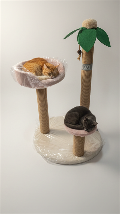 Zaf Palmiye Tırmalama Tahtası