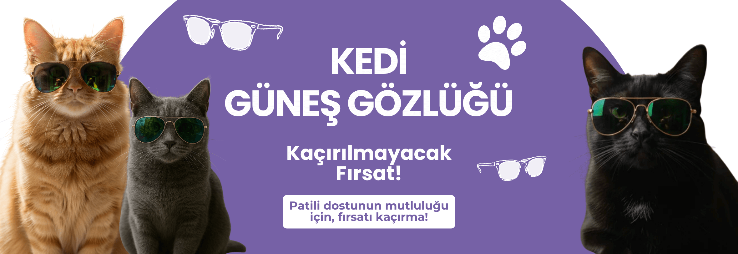 Kedi Güneş Gözlüğü Kedilere Özel Güneş Gözlüğü Gözlük