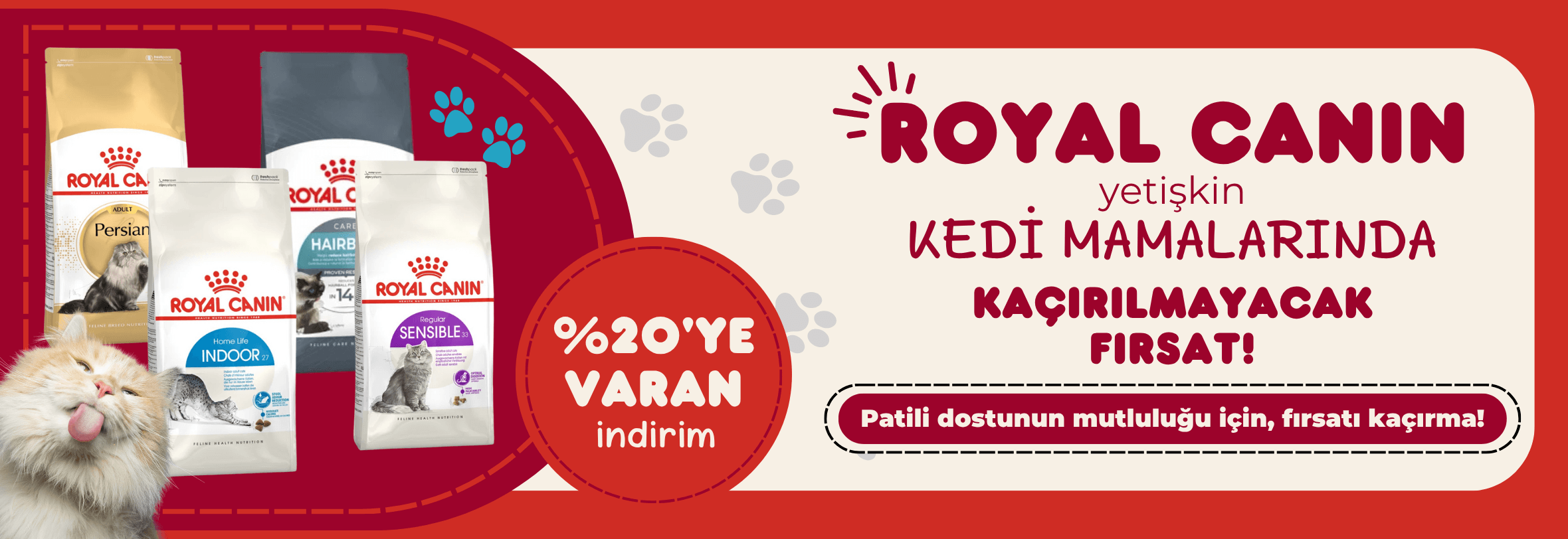 Royal Canin Yetişkin Kedi Maması
