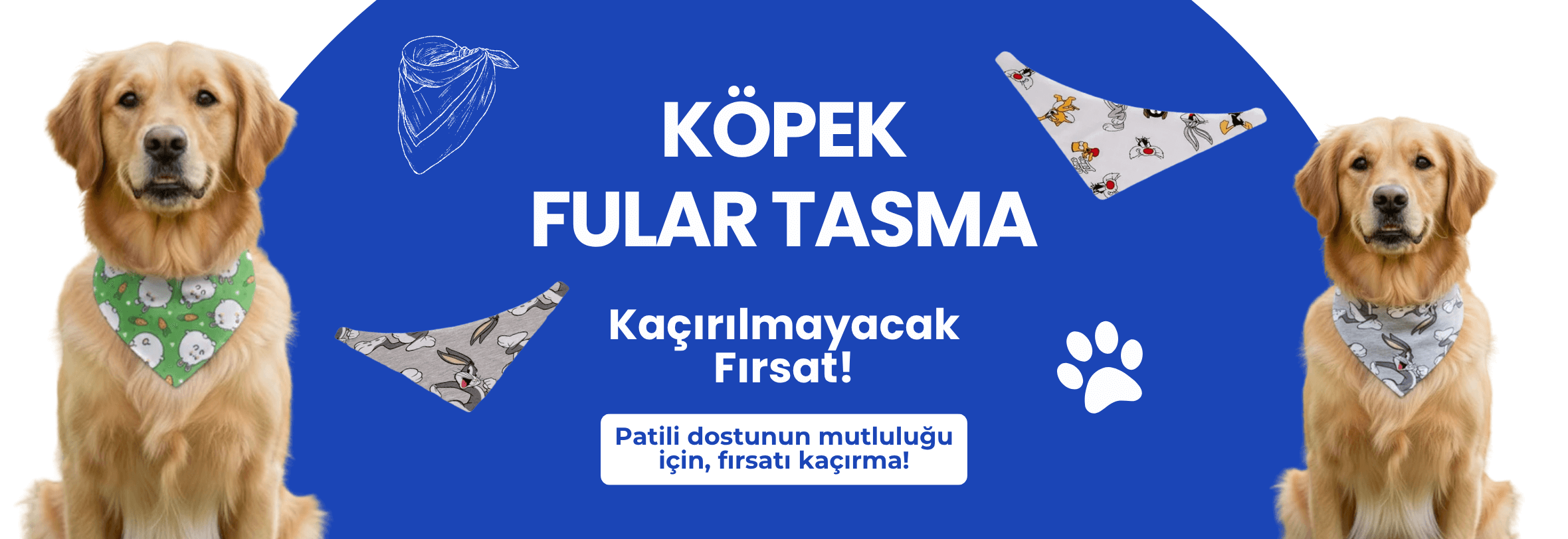 Köpek Fularları
