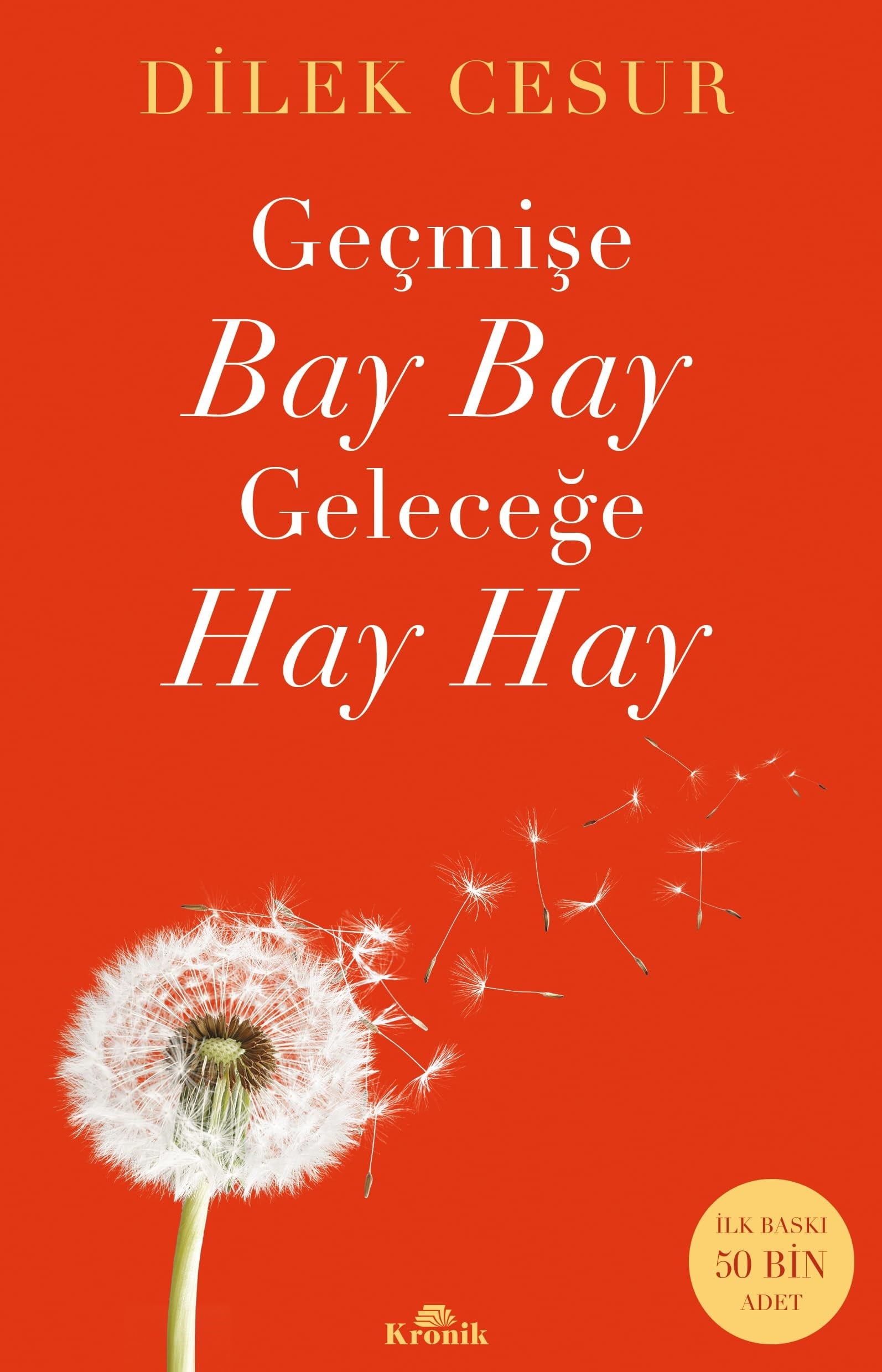 KitapGeçmişe Bay Bay, Geleceğe Hay Hay