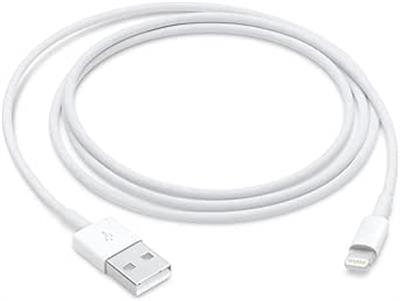 OUTLET Apple Lightning To Usb 1.0 Mt Cable MXLY2ZM/A