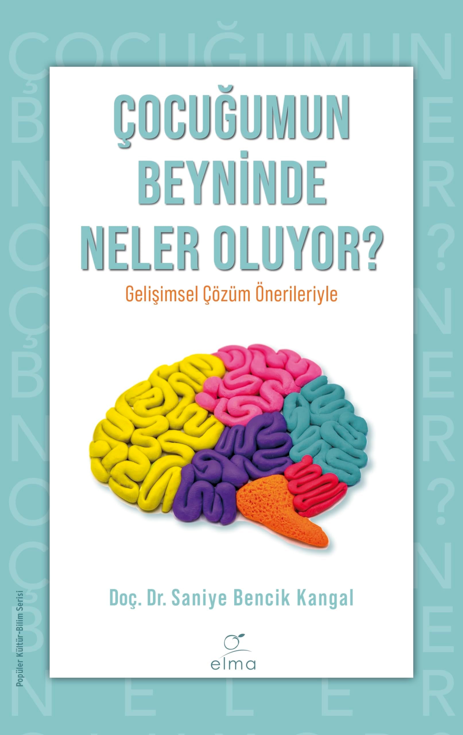 KitapÇocuğumun Beyninde Neler Oluyor?: Gelişimsel Çözüm Önerileriyle