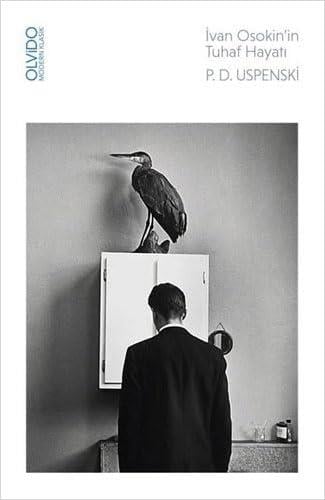 Kitapİvan Osokin’in Tuhaf Hayatı