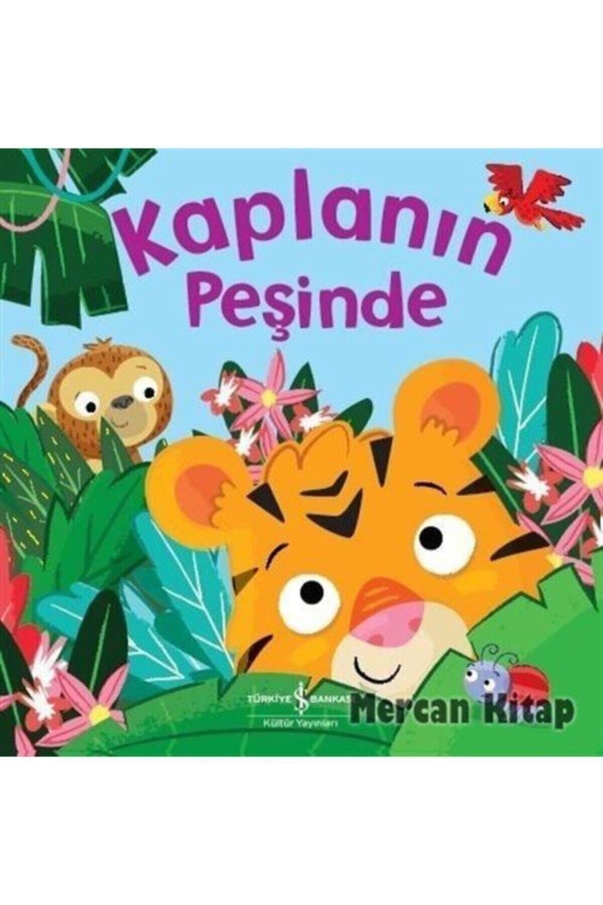KitapKaplanın Peşinde