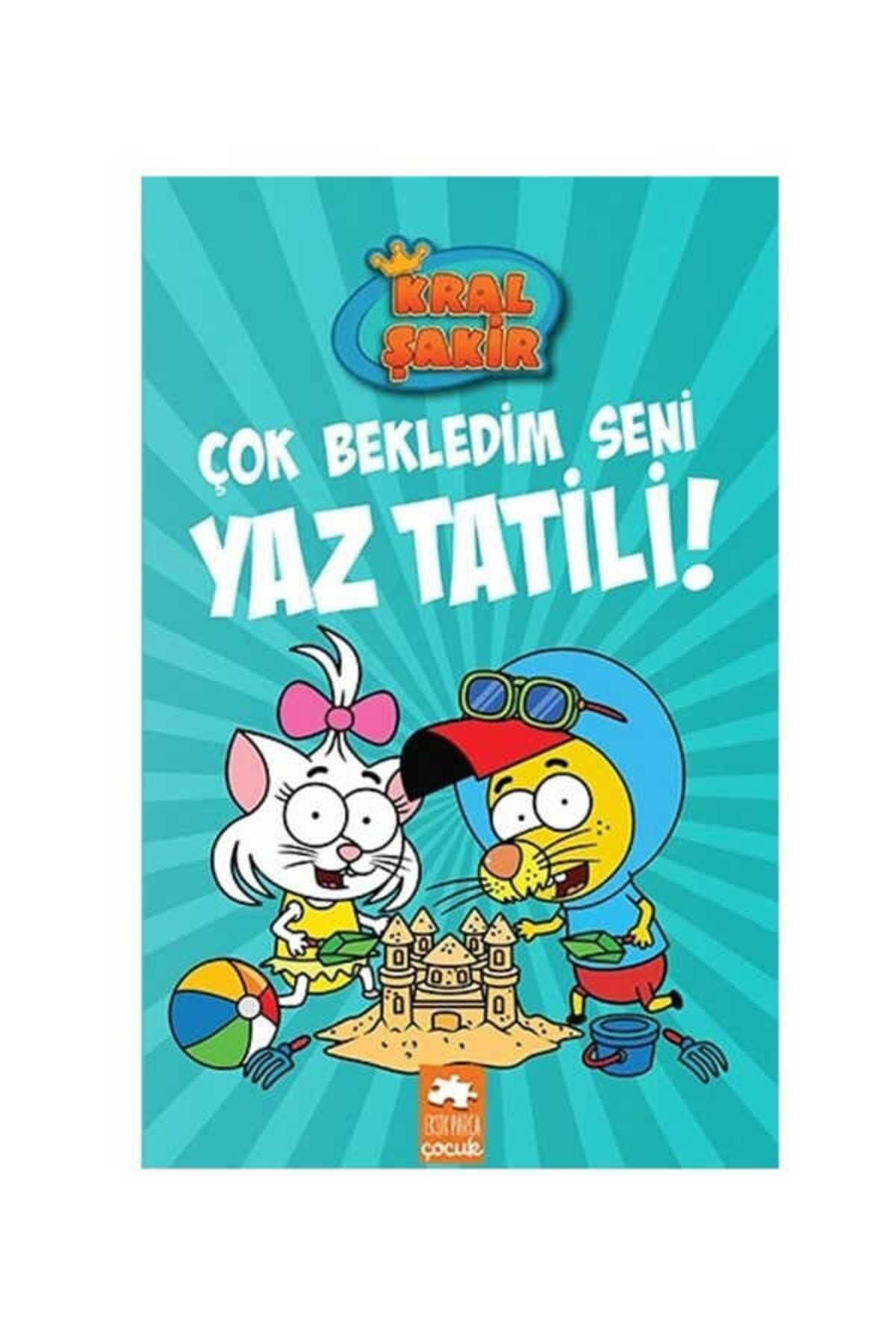 KitapKral Şakir 11 - Çok Bekledim Seni Yaz Tatili! (Ciltli)
