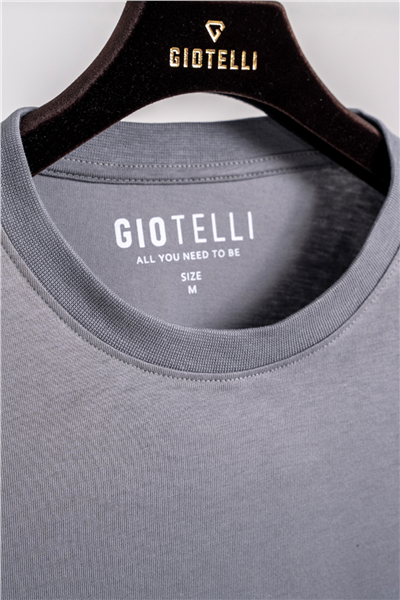 Giotelli Erkek Açık Gri Normal Kesim Regular Fit Dokuma Bisiklet Yaka Tişört