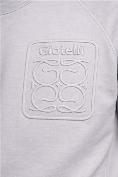 Giotelli Erkek Gri Normal Kesim Regular Fit %100 Pamuk Örme Bisiklet Yaka Sweatshirt