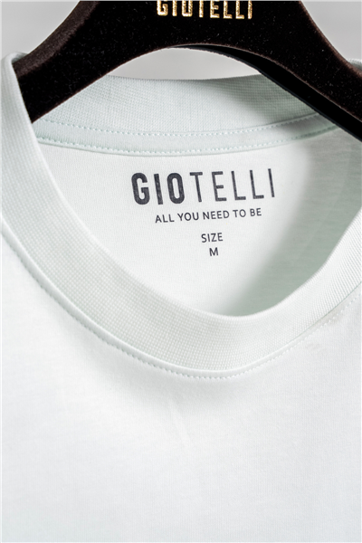 Giotelli Erkek Mint Normal Kesim Regular Fit Dokuma Bisiklet Yaka Tişört