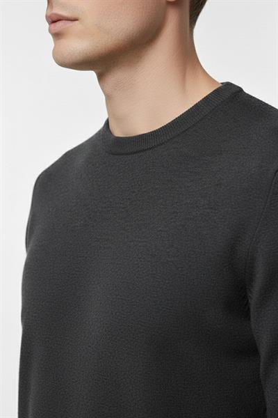 Erkek Antrasit Normal Kesim Regular Fit Pamuklu Dokuma Bisiklet Yaka Triko Kazak