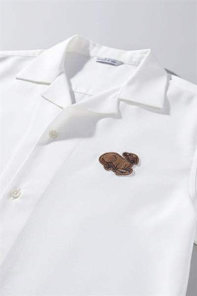 APAŞ YAKA TENCEL ERKEK GÖMLEK Ekru